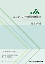 平成２９年度 決算情報 表紙イメージ