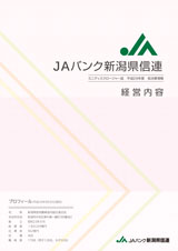 平成２９年度 決算情報 表紙イメージ