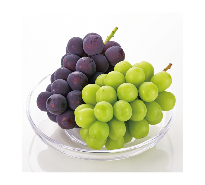 ぶどうセット